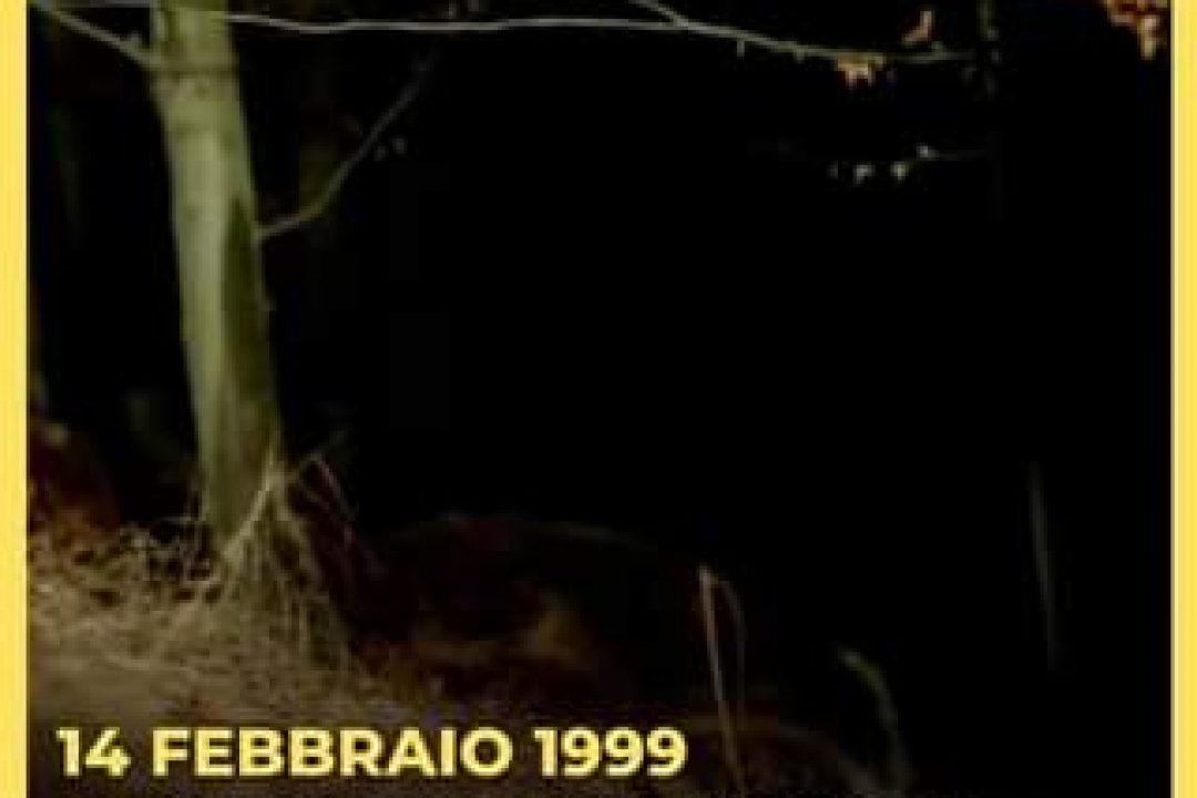 Uno dei maggiori singoli di successo dei Roxette, ” Wish i could fly ” fu il nos