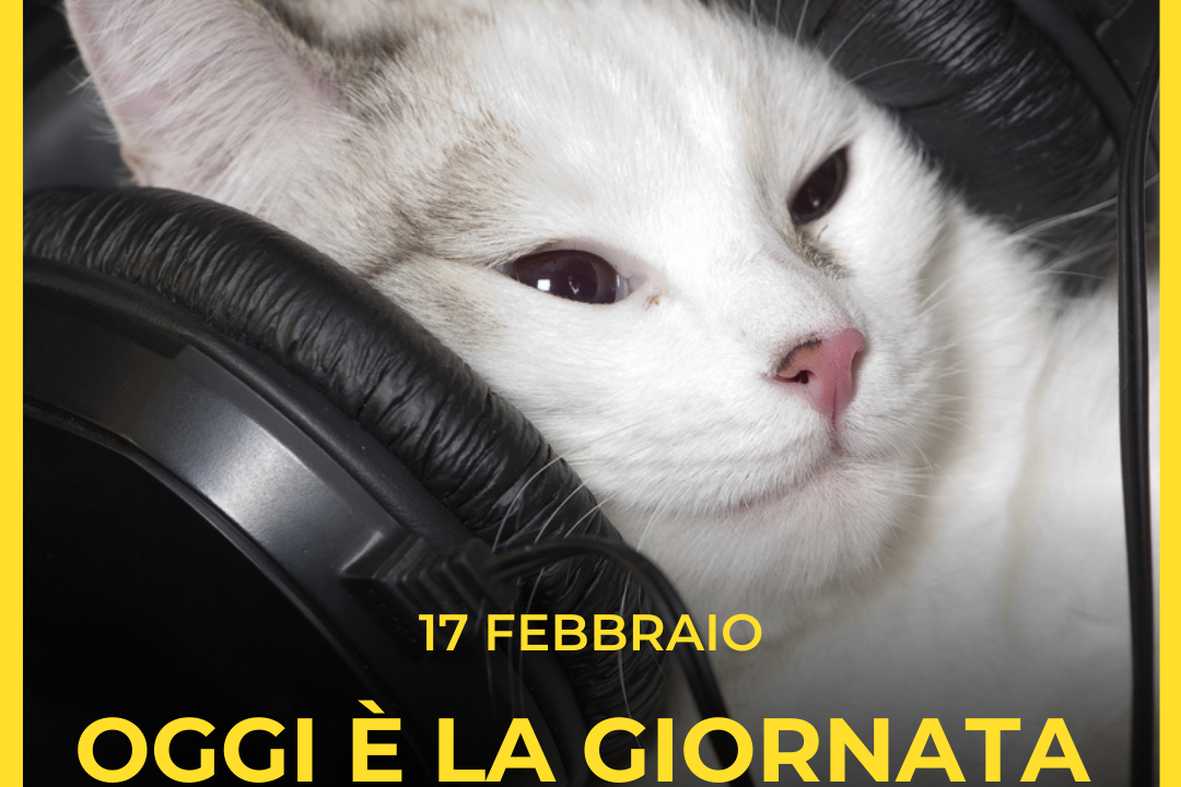 Oggi e’ la Giornata del Gatto!