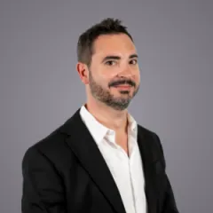 Michael Ribola, Consulente
